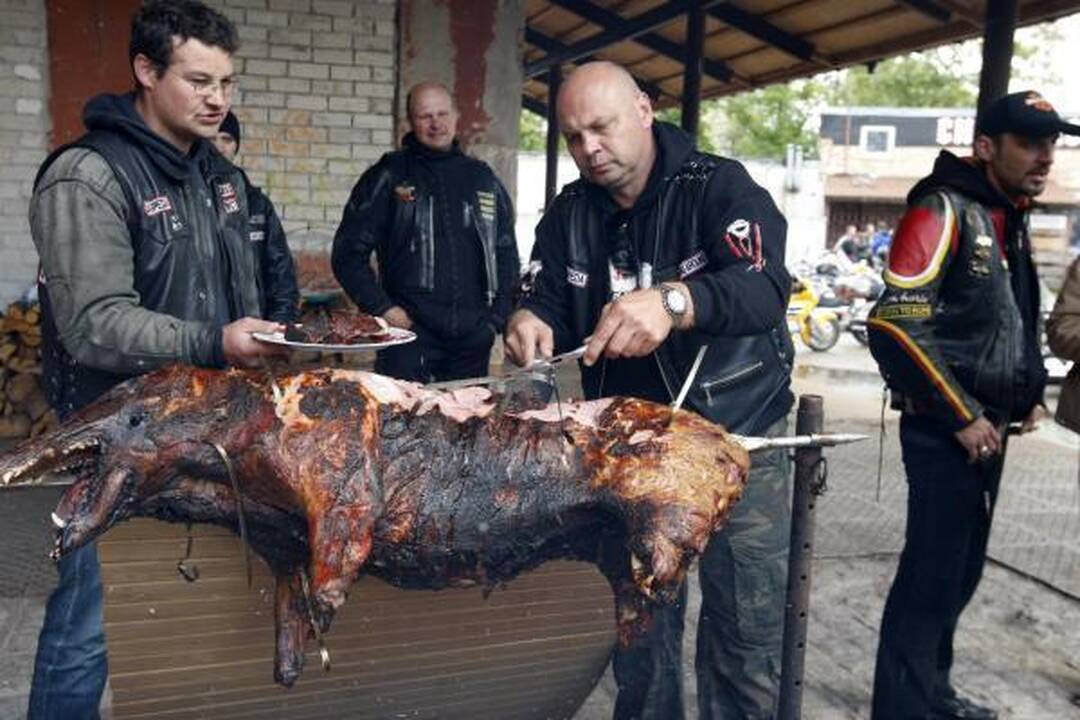 Baikerių sezono uždaryme – keptas šernas