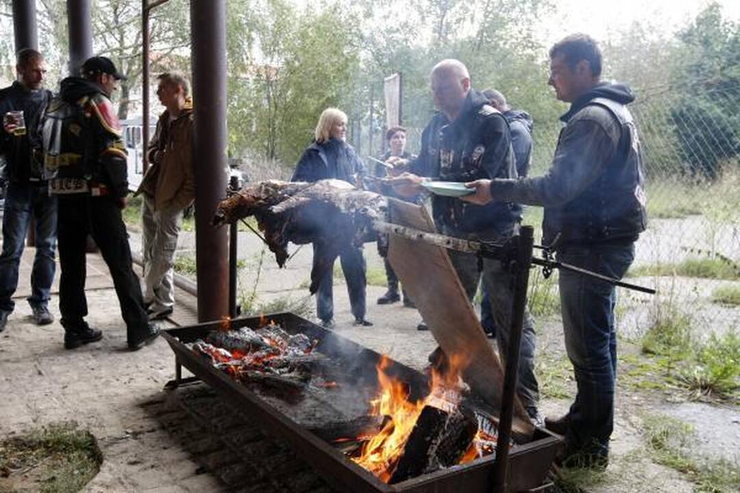 Baikerių sezono uždaryme – keptas šernas