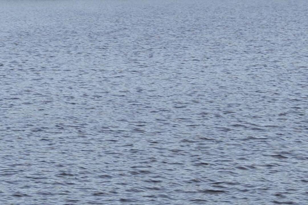 Lazdijų                rajone nuskendo vyras