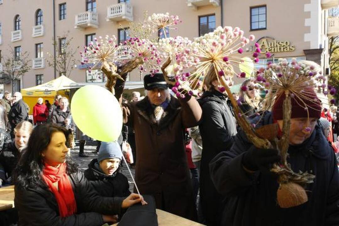 "Klaipėdos" jubiliejų miestiečiai šventė "Saulėto rudens" šventėje 