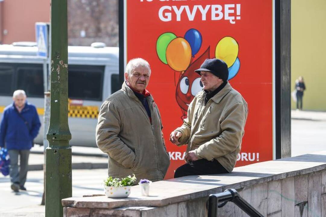 Pirmosios žibuoklės jau pildo prekeivių pinigines