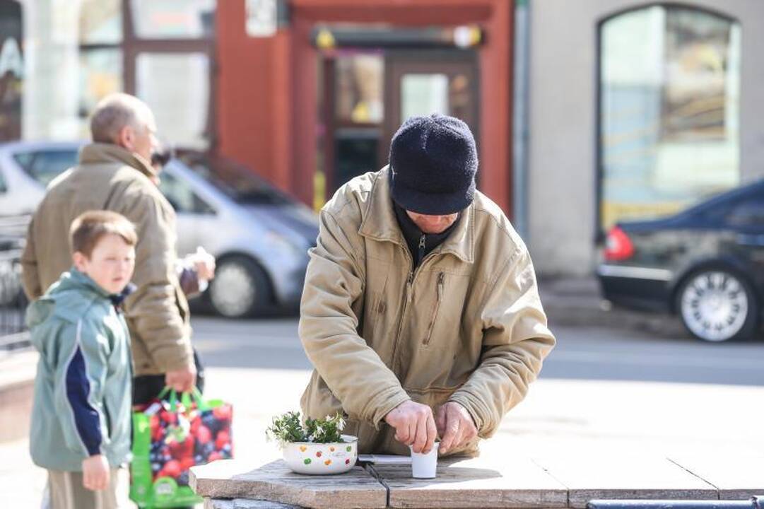 Pirmosios žibuoklės jau pildo prekeivių pinigines