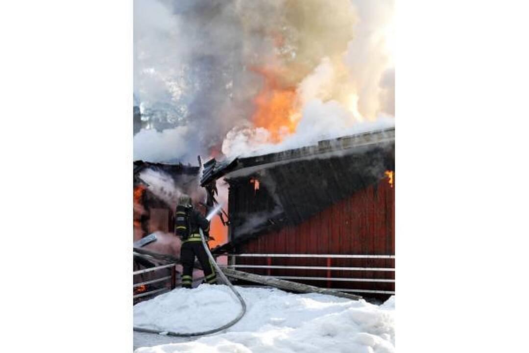 Tragedija Estijoje: gaisras vaikų namuose pasiglemžė 10 gyvybių (dar papildyta)