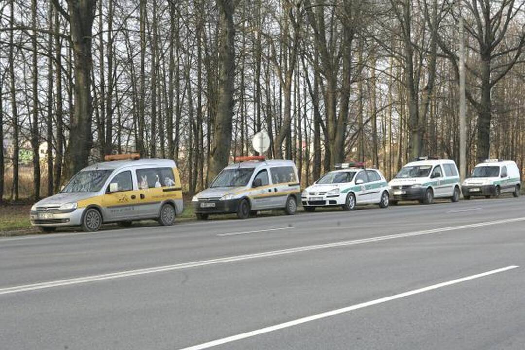 Kaune rasti keliolikos žiauriai išdarkytų šunų kūnai (dar papildyta)