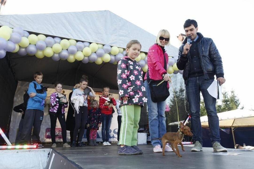 Šimtai gyvūnų mylėtojų su savo augintiniais linksminosi Gargžduose