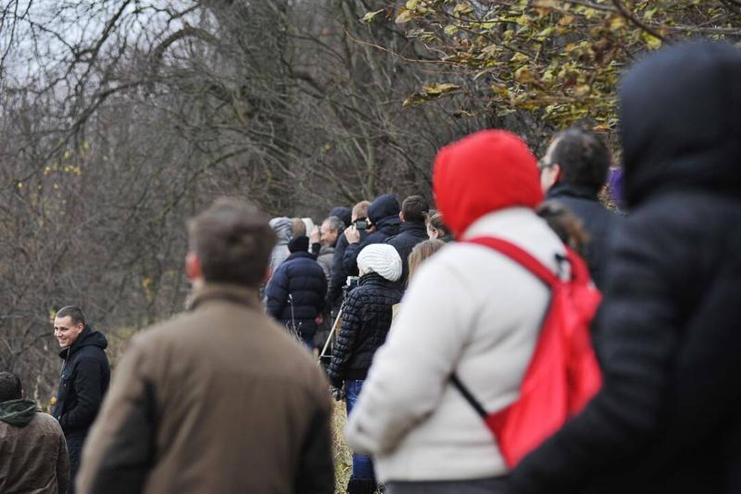 Panemunės tiltą išdraskė sprogimas, laukia dar penki bandymai