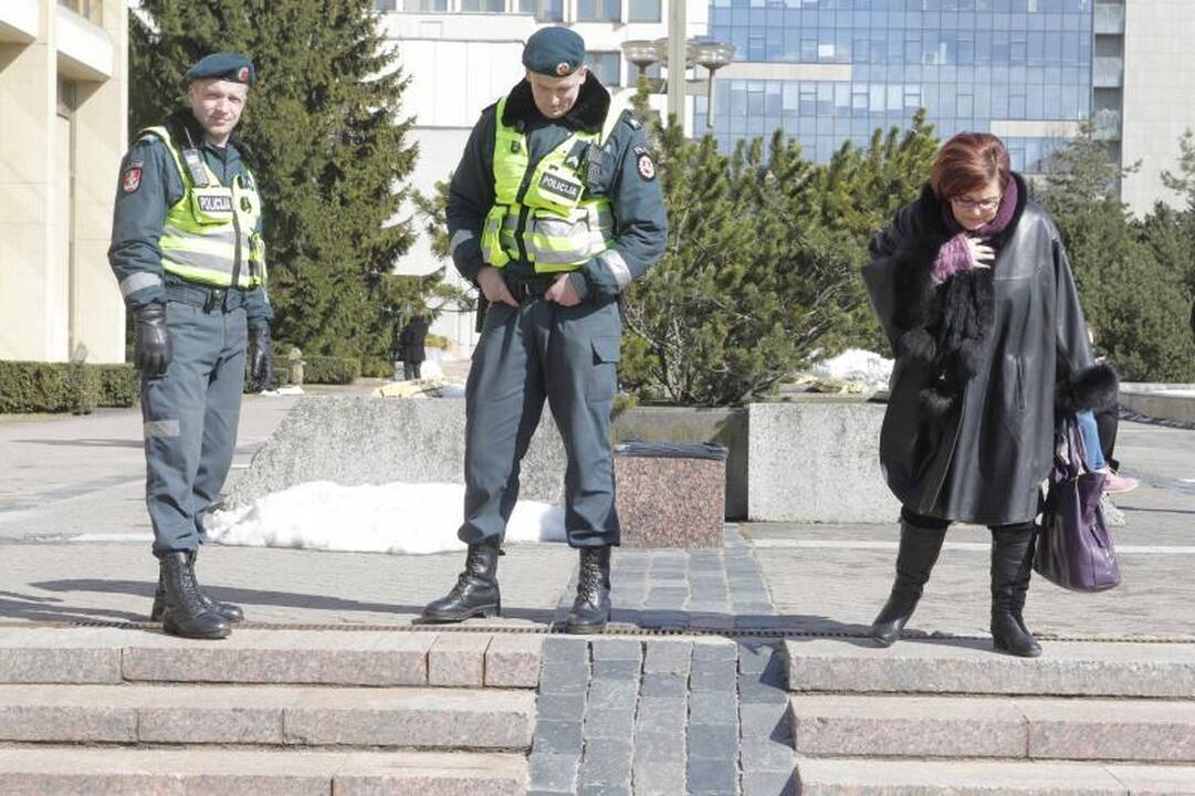 Seimas panaikino N.Venckienės teisinę neliečiamybę (23 balsavo prieš) 