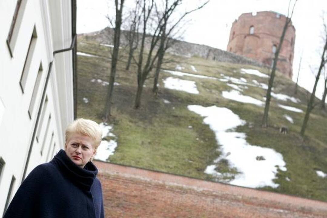 Prezidentė: po eitynių kilusios diskusijos rodo susirūpinimą dėl "agresyvaus nacionalizmo"