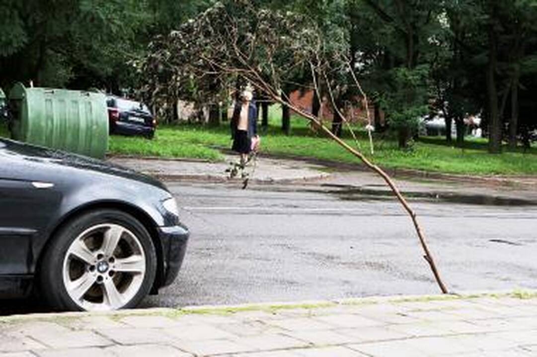 Klaipėdoje apie atsivėrusią duobę įspėja šaka
