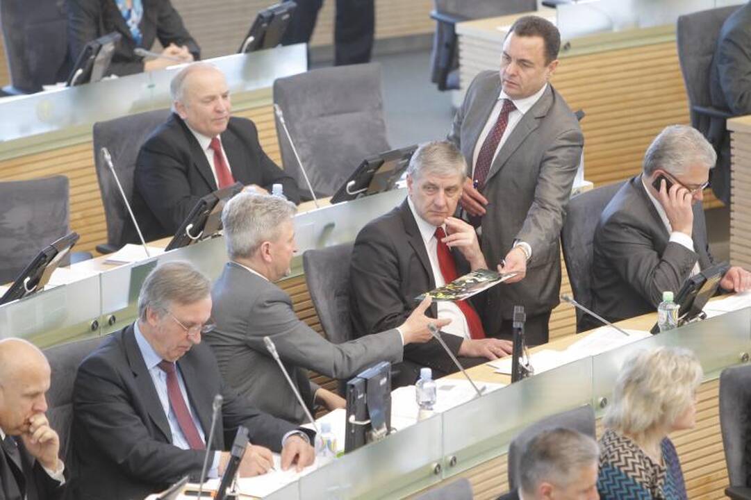 Seimas panaikino N.Venckienės teisinę neliečiamybę (23 balsavo prieš) 