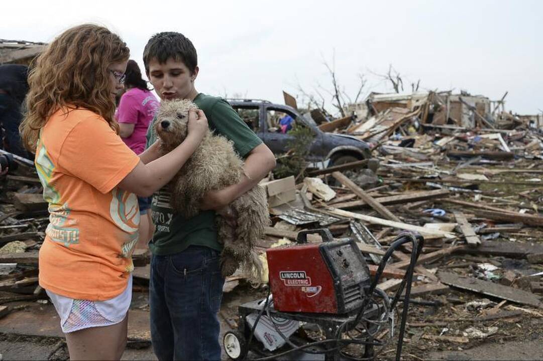 Tornadą išgyvenusį 5-metį vaiką mirtinai sukandžiojo šuo