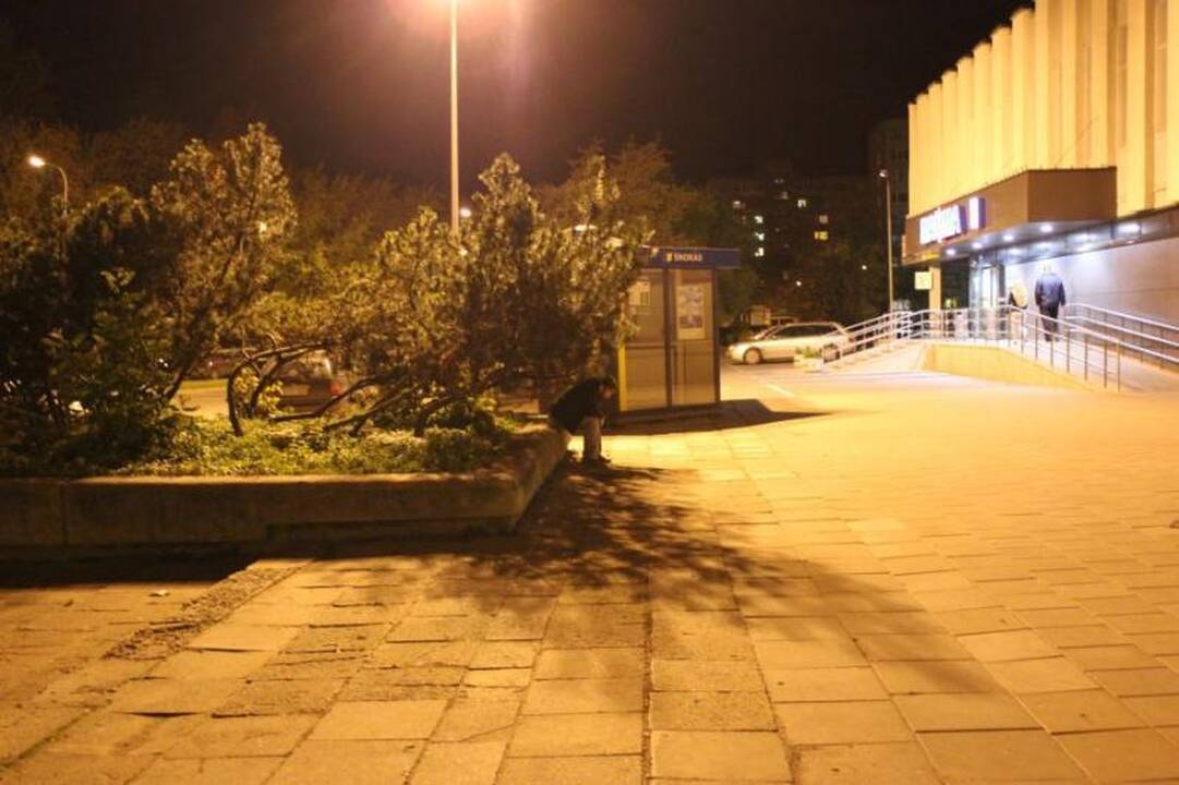 Žurnalisto tyrimas: naktiniai barai spjauna į įstatymą