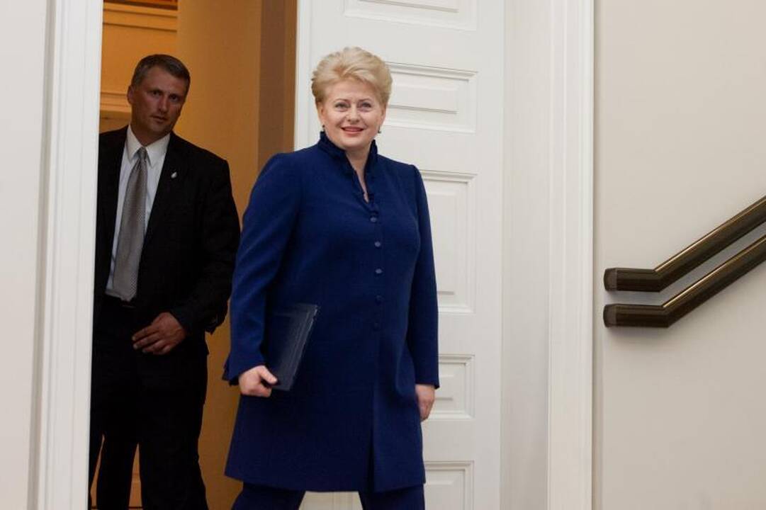 D.Grybauskaitės prezidentavime politikai pasigenda paaiškinimų