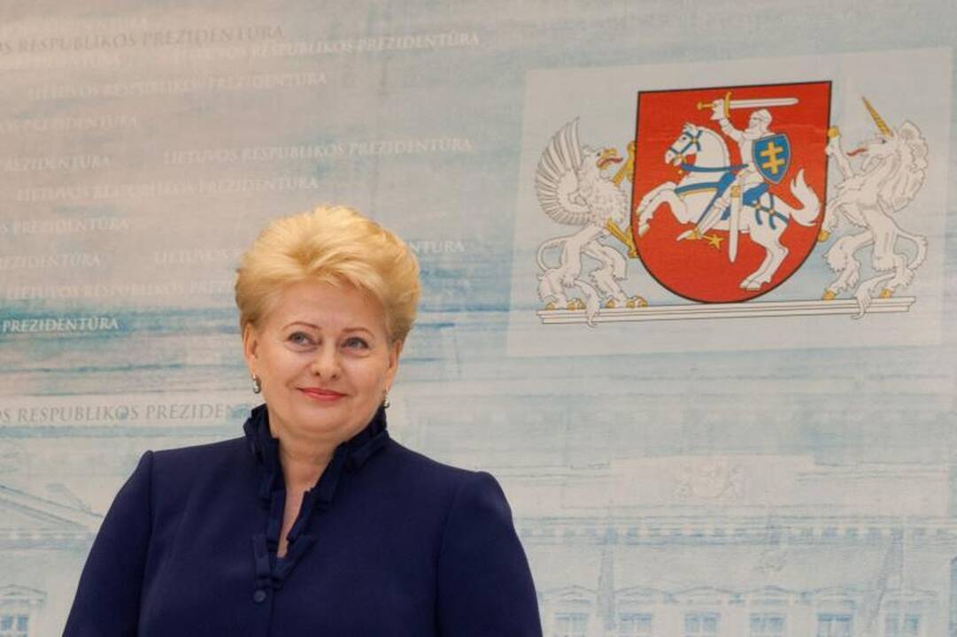 D.Grybauskaitės prezidentavime politikai pasigenda paaiškinimų
