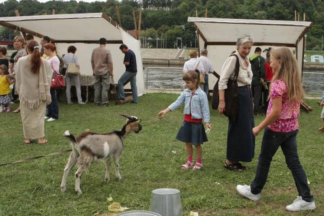 Mieste - "Hanza Kaunas 2010" šurmulys (papildyta)