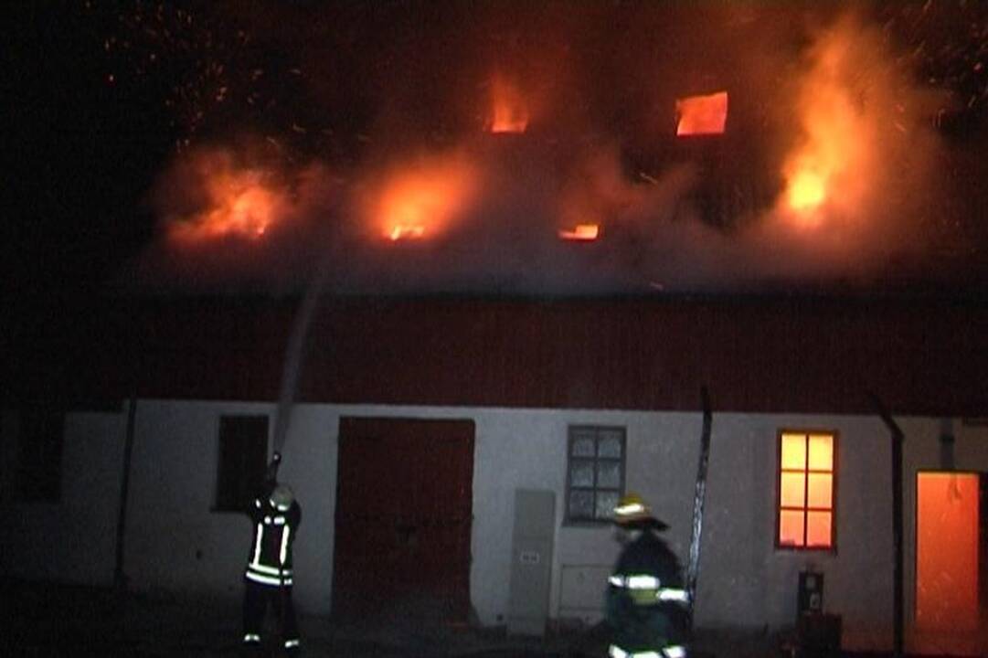 Gaisras Palangos žirgyne užminė mįslių (atnaujinta 13:02 val.)