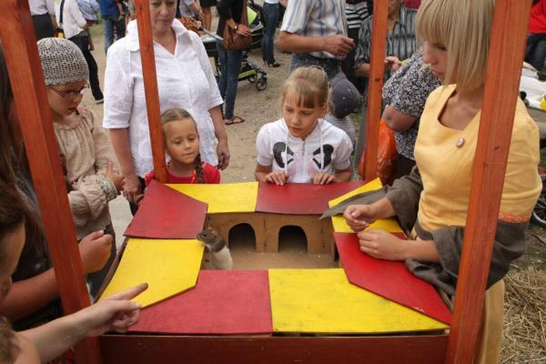 Mieste - "Hanza Kaunas 2010" šurmulys (papildyta)