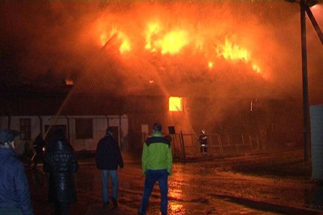 Gaisras Palangos žirgyne užminė mįslių (atnaujinta 13:02 val.)
