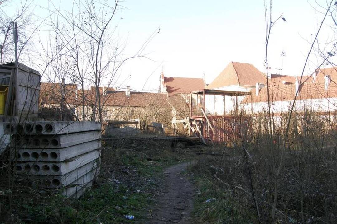Bjauri dykynė Vilniaus senamiestyje - galvos skausmas gimnazijai