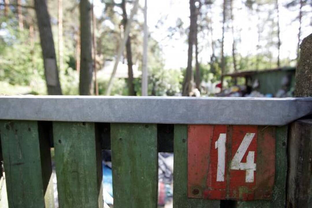 „Šiukšlyno žmonės" gyvena socialiniame būste  