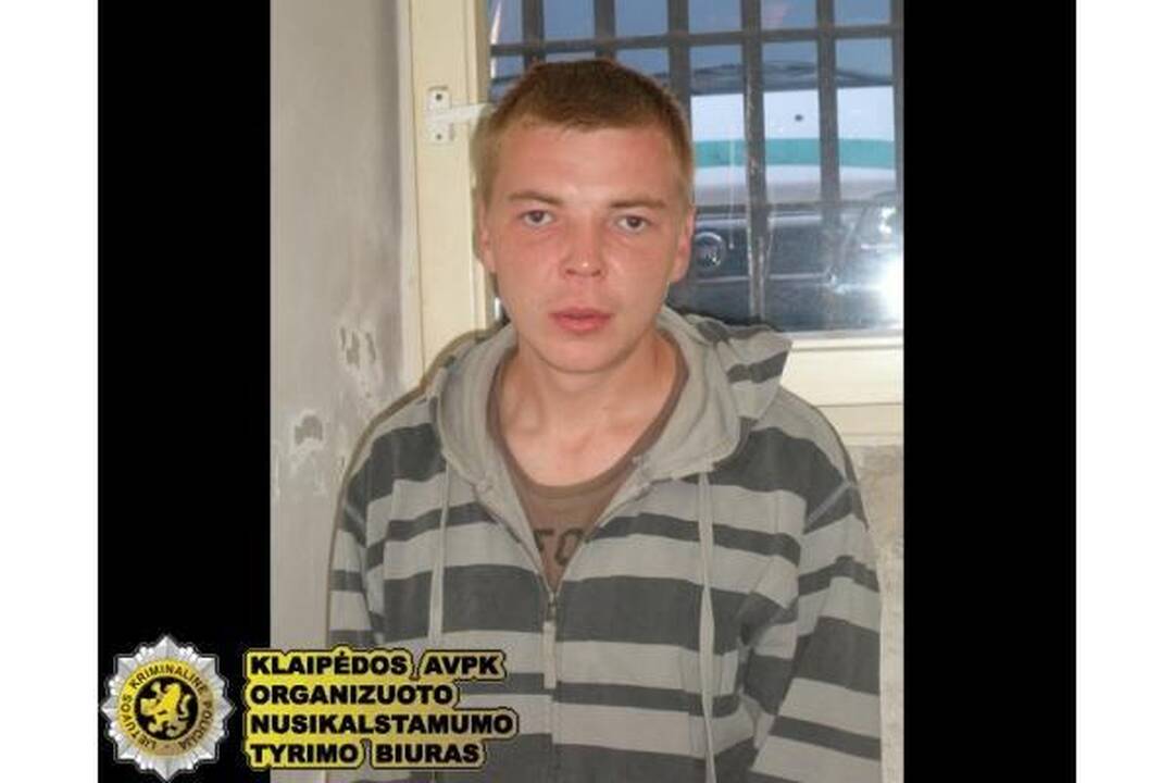 Grandinėlių grobikai laukia klaipėdiečių atpažinimo (papildyta)