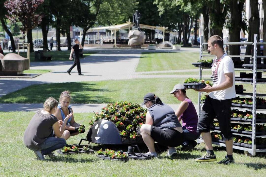 Klaipėdą papuošė 5 tūkst. litų kainuojančios boružėlės