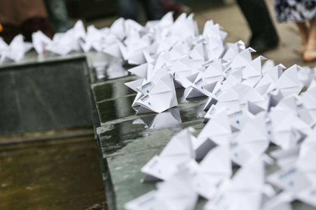 Protestas dėl atleisto „Verslios Lietuvos“ vadovo persikėlė į Kauną