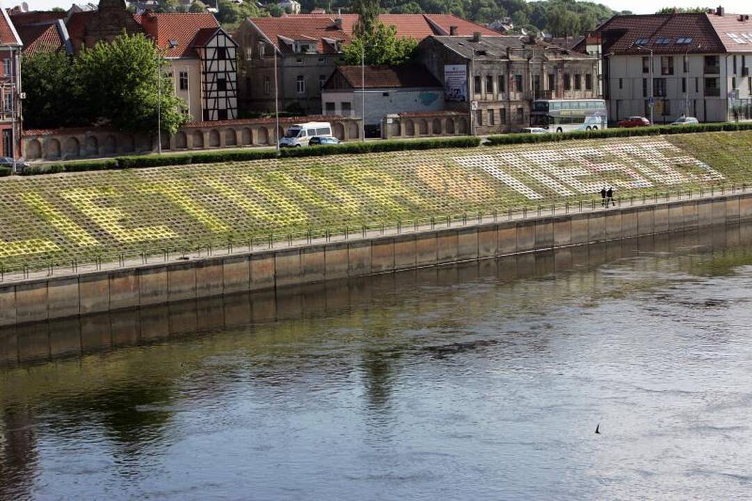 Žodis „Tiesos" atsirado Nemuno krantinėje, Ąžuolyne, prie savivaldybės