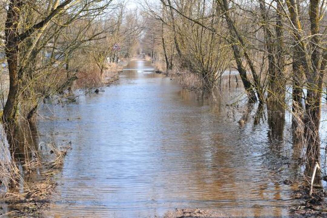 Potvynis pamaryje: vanduo kyla, bet netikėtumų nesitikima (papildyta)