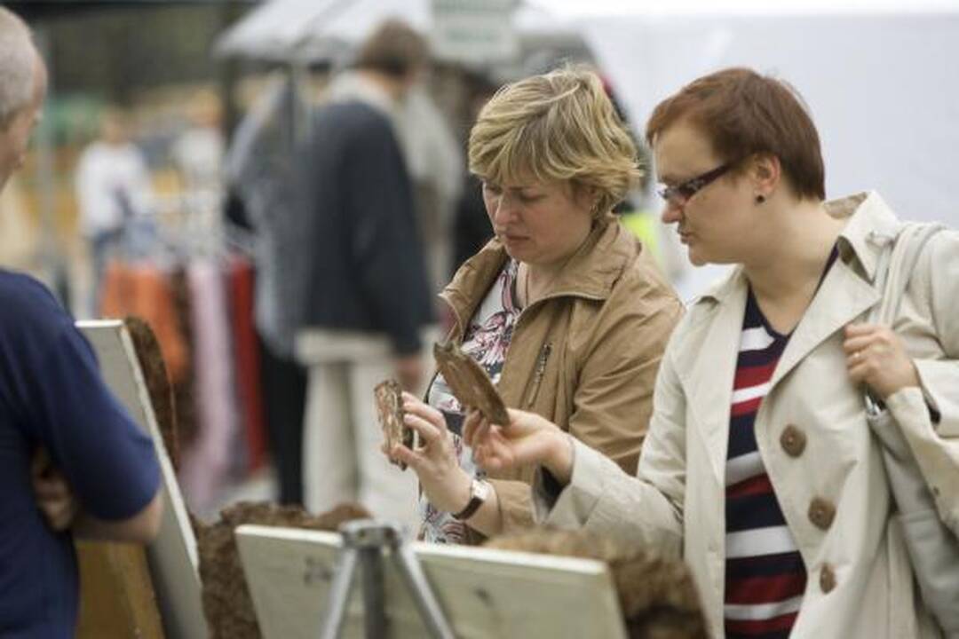 Vilnius linksmai švenčia 6-ąsias narystės ES metines (papildyta)