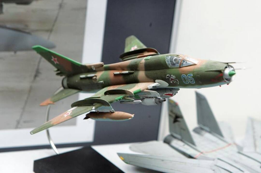 Aviacijos muziejuje puikuojasi apie 700 lėktuvų modelių  