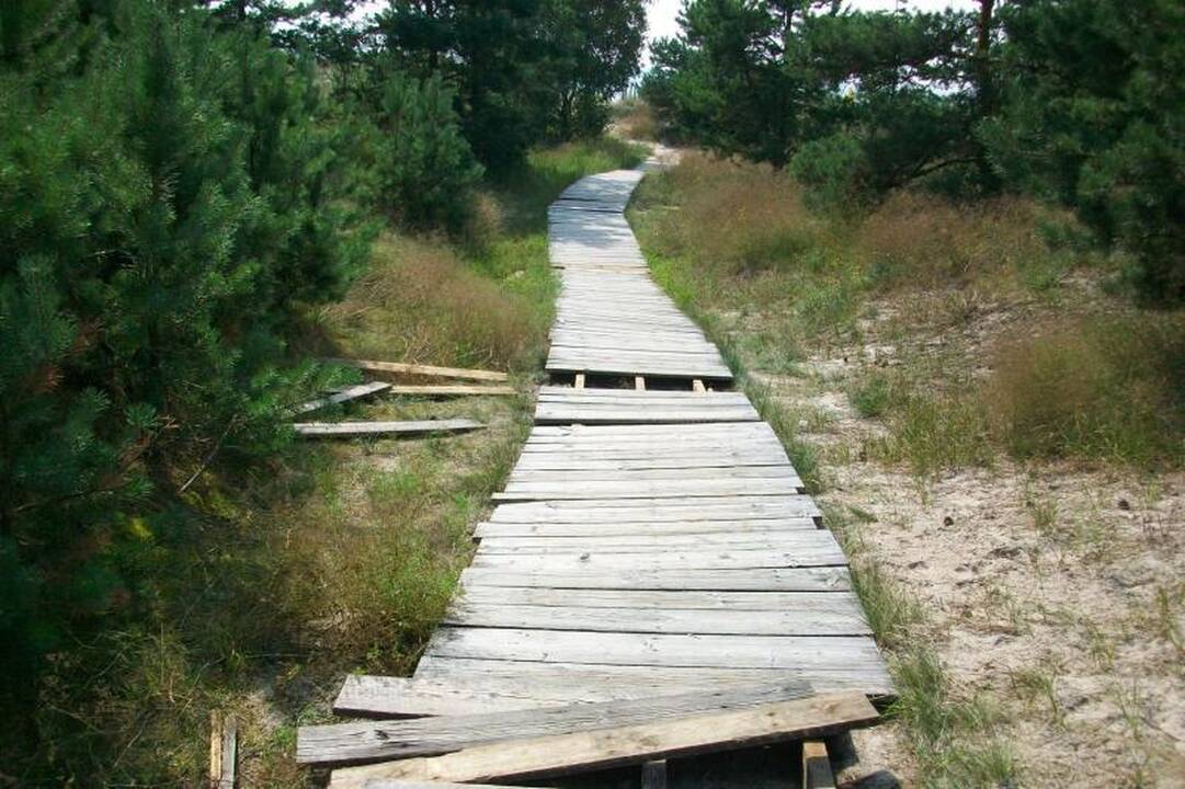 Paplūdimio takus niokoja ir vandalai, ir pėstieji