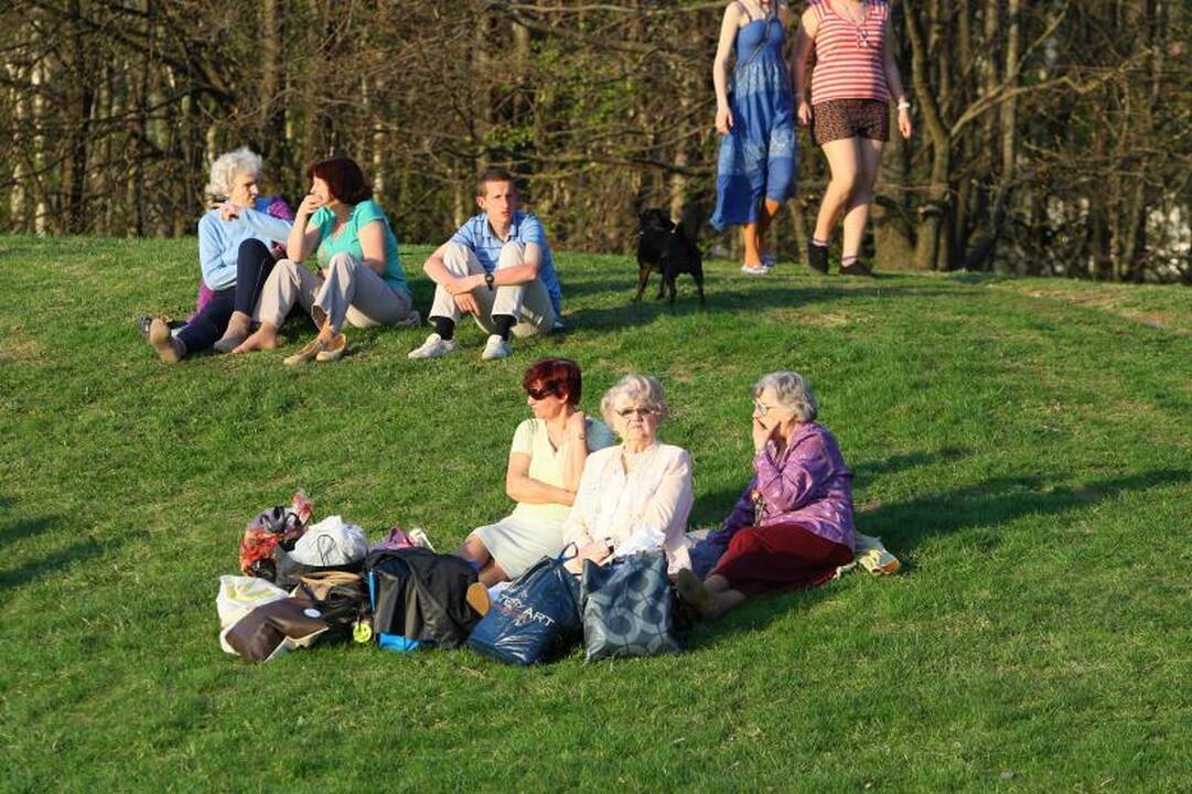 Dainavos bendruomenę sukvietė tradicinis festivalis „Dainavų Dainava“
