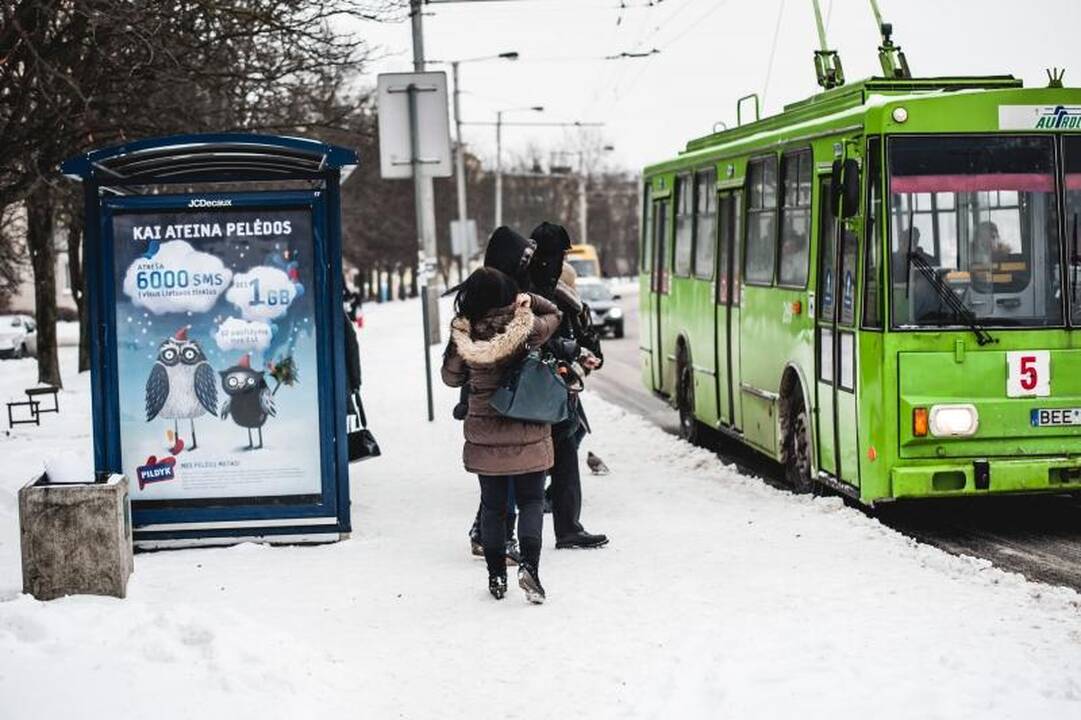 Per savaitgalį pūga surijo trečdalį druskos atsargų