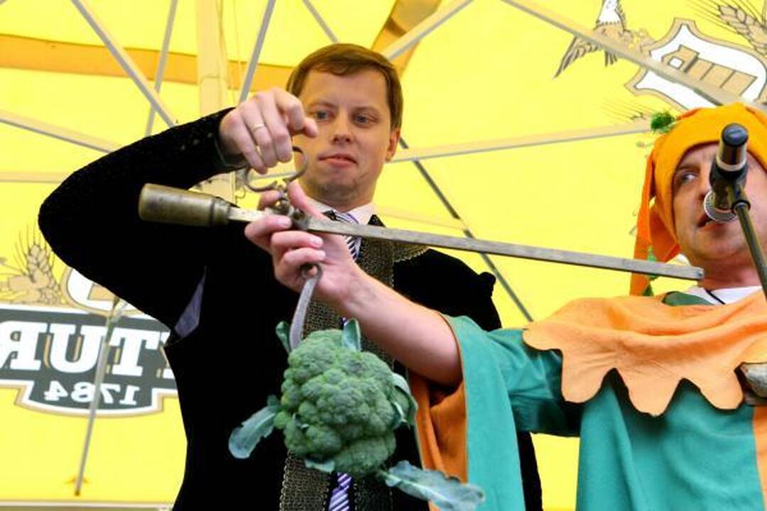 "Kauno diena" prognozuoja: valdžiai rūpės tik rinkimai