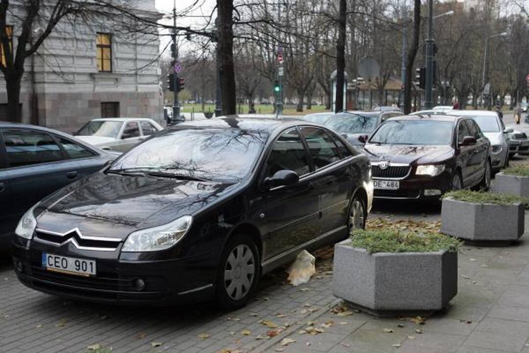 Prie ministerijos - prabangių tarnybinių mašinų paradas