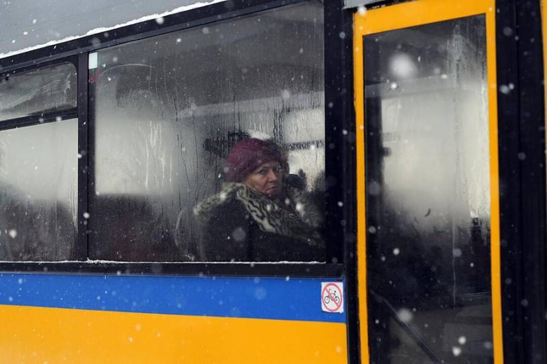 Į troleibusus leis su dideliais šunimis, bilietus tikrins vairuotojai
