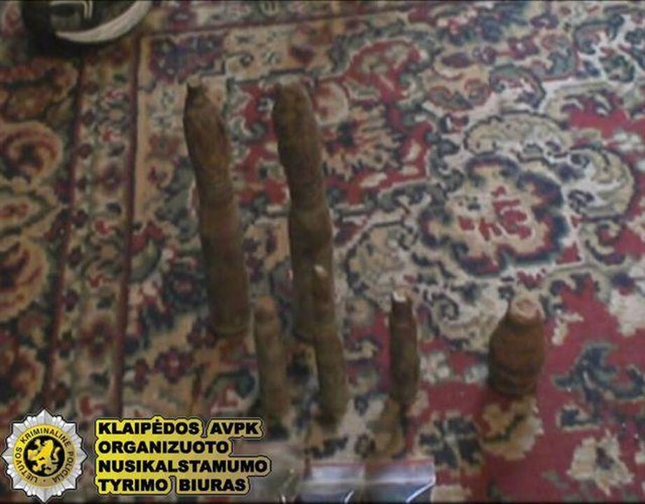 Klaipėdoje sulaikytas įtariamasis juodąja archeologija