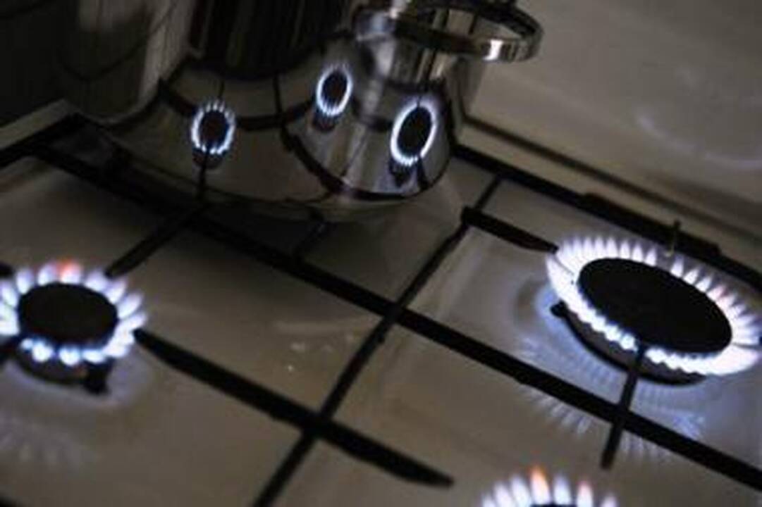 "Dujotekana" tikina: kitais metais dujų kaina Lietuvai tikrai turi būti sumažinta