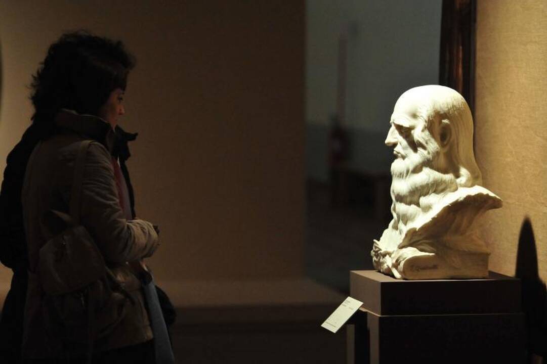 Italijoje eksponuojamas retai rodomas Leonardo autoportretas