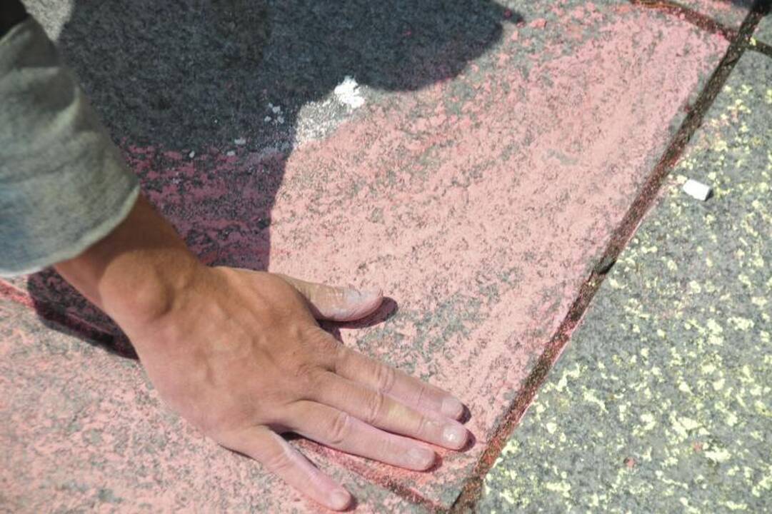 N.Venckienės šalininkai prie Seimo reikalavo „Tiesos“