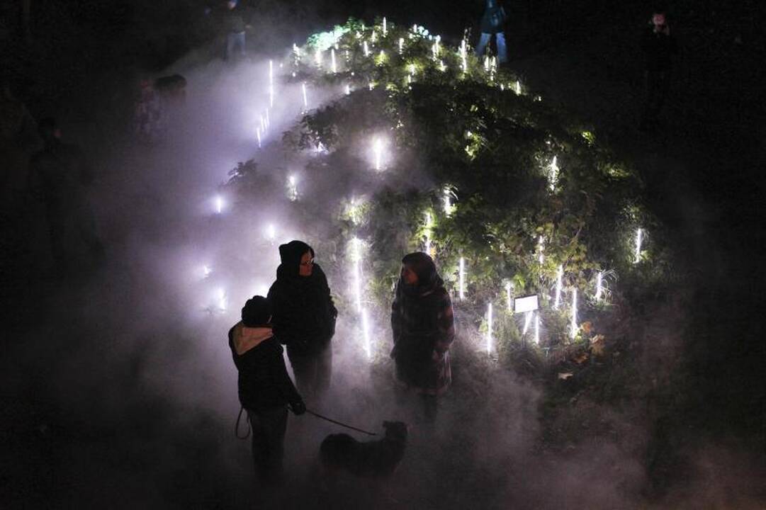 Idėja iš konteinerio užkariauja Pilaitės rajoną