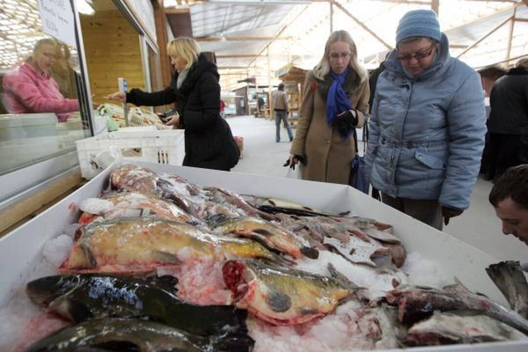 Turguje – dešimtys lietuviškos ir egzotiškos žuvies rūšių 