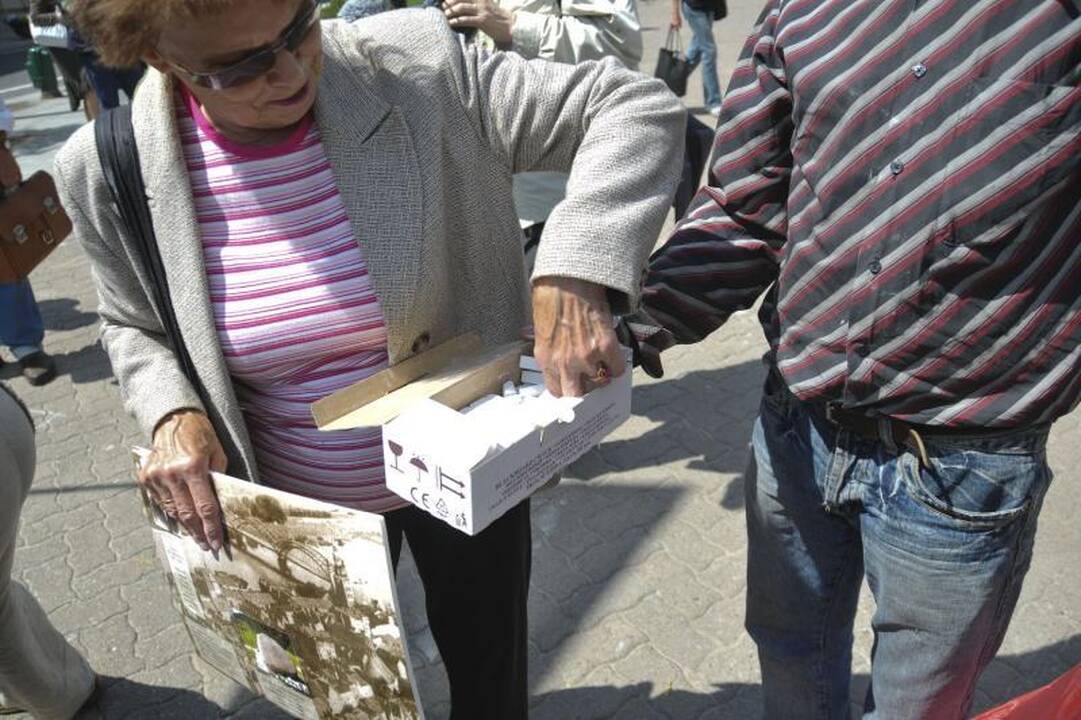 N.Venckienės šalininkai prie Seimo reikalavo „Tiesos“