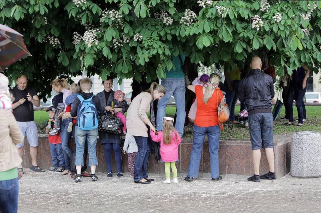 Klaipėdos Atgimimo aikštėje skriejo burbulai