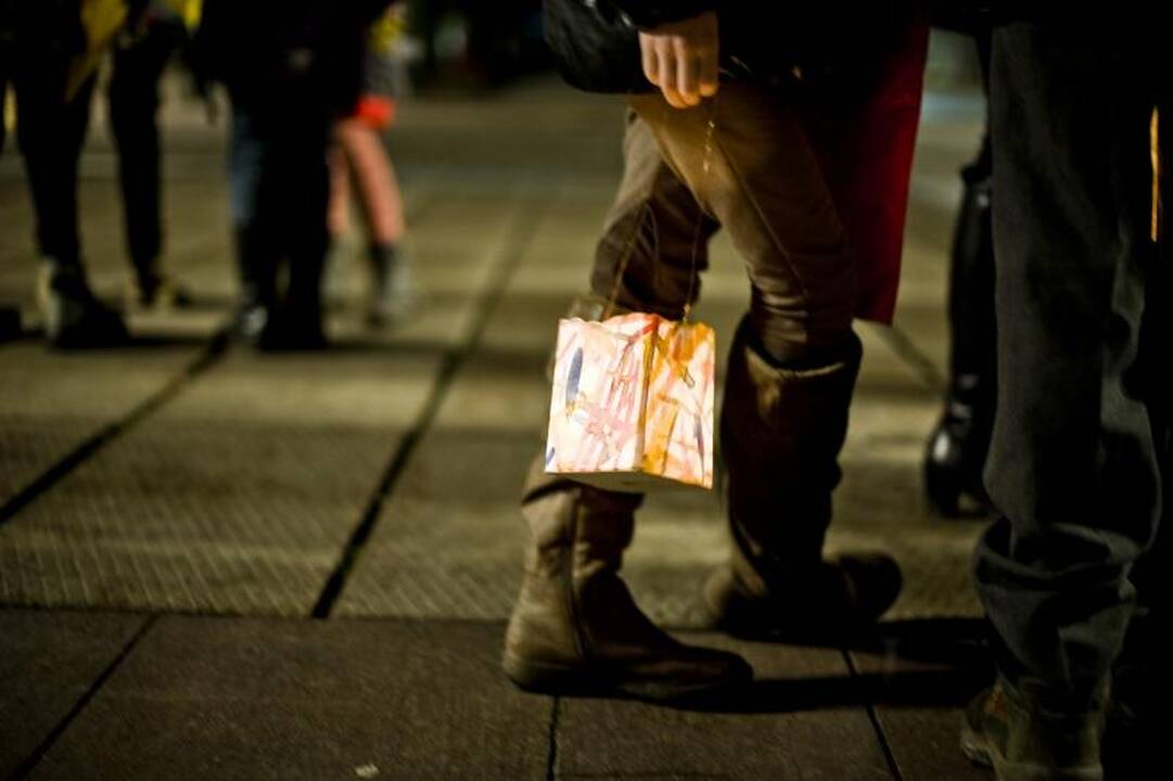 Ant Aleksoto kalno sparnus išskleidė septynios gervės