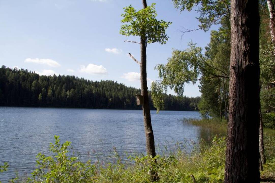 Kelionė miškinguoju Gražutės regioniniu parku