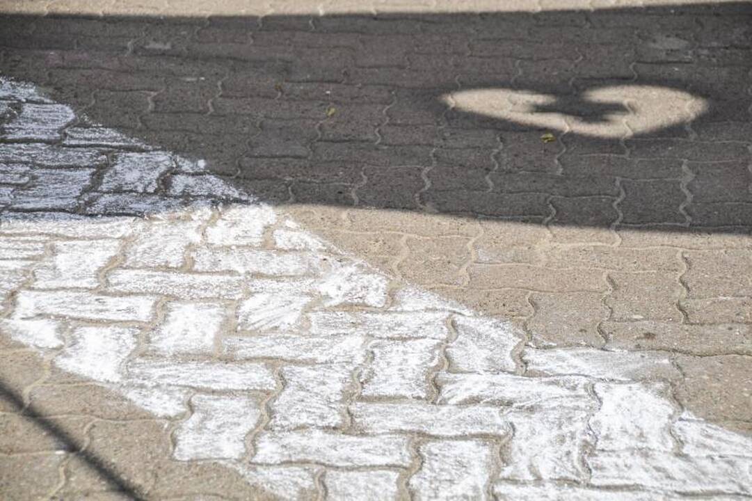 N.Venckienės šalininkai prie Seimo reikalavo „Tiesos“
