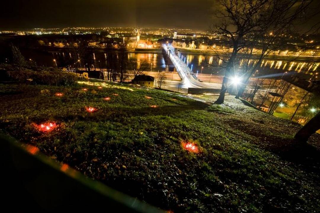 Ant Aleksoto kalno sparnus išskleidė septynios gervės