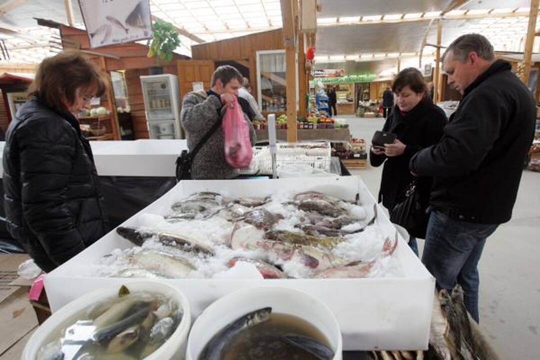 Turguje – dešimtys lietuviškos ir egzotiškos žuvies rūšių 